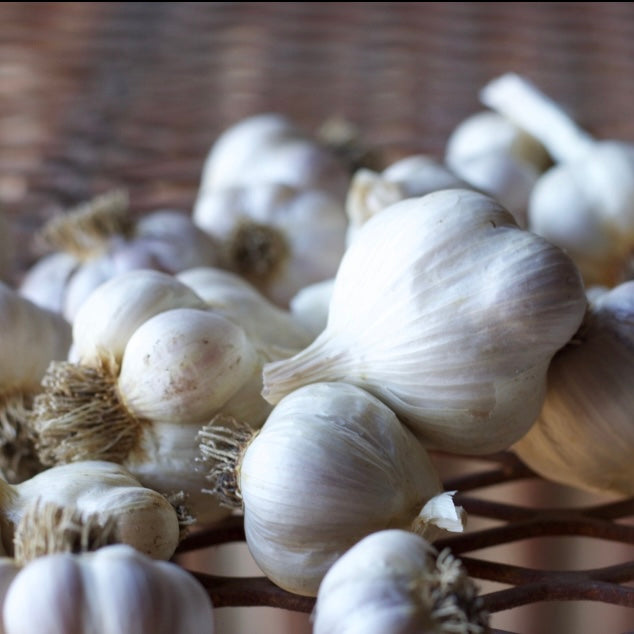 A Mixed Garlic Assortment