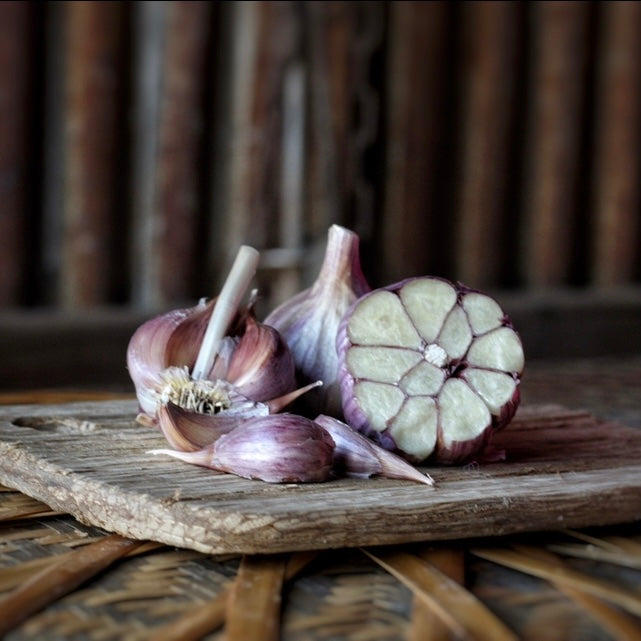 Chesnok Red Culinary / Table Garlic